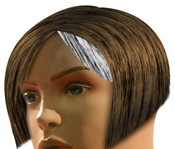 Create Realistic Hair With Photoshop — SitePoint