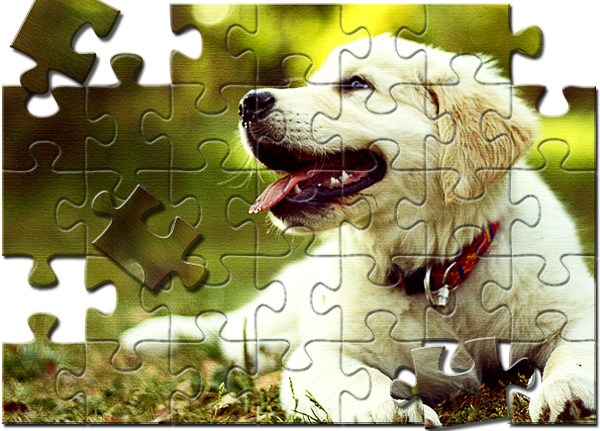 Download Break An Image Into Puzzle Pieces In Photoshop Sitepoint